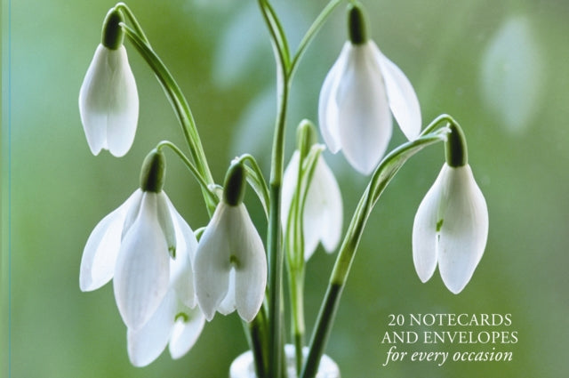 Card Box of 20 Notecards and Envelopes: Snowdrop 9780754825883 Peony Press